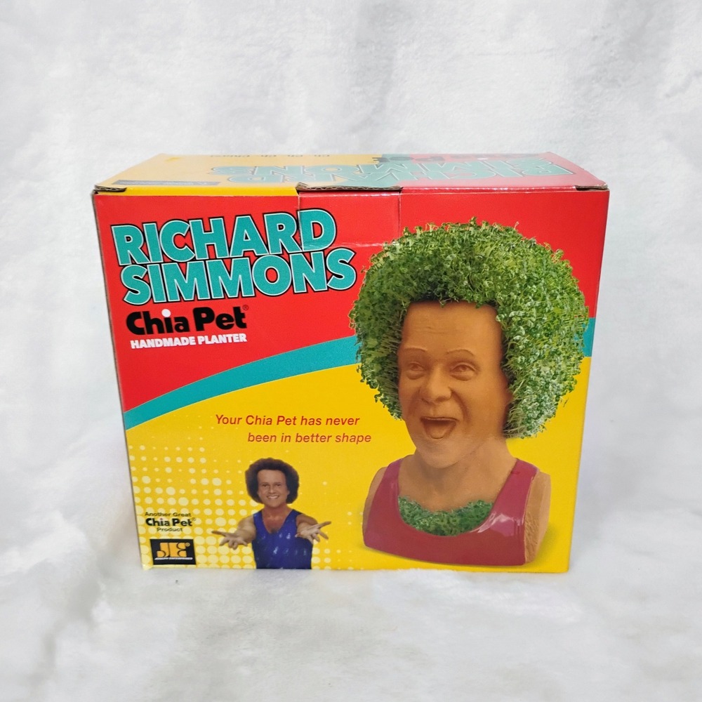 Richard Simmons Chia Pet Handmade Decorative Pottery Planter Kit New in Box K